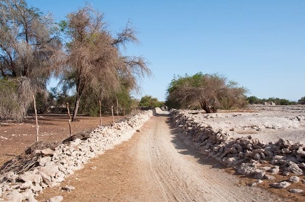 Desierto De Atacama Estaría En Riesgo Por Sobreexplotación De Recursos ...