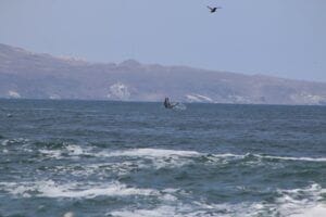 IMG 0184 1