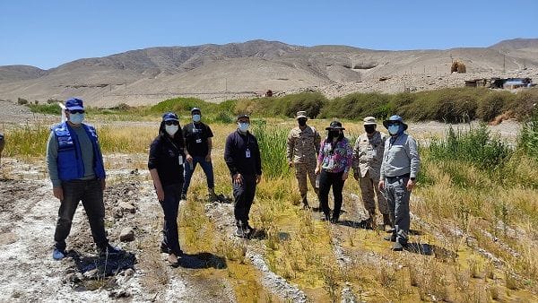 Prospeccion para detectar mosquito Anopheles en Tarapaca 2