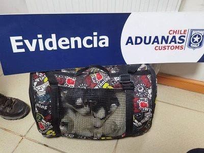 Asi estaban