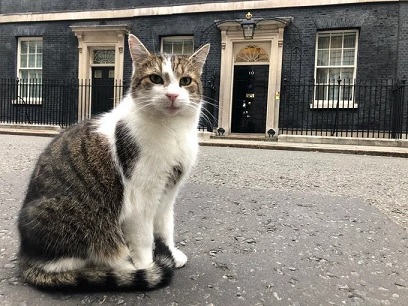 Larry, el gato de la residencia del primer ministro británico