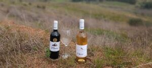 Minagri seguro vitivinicola