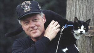 clinton