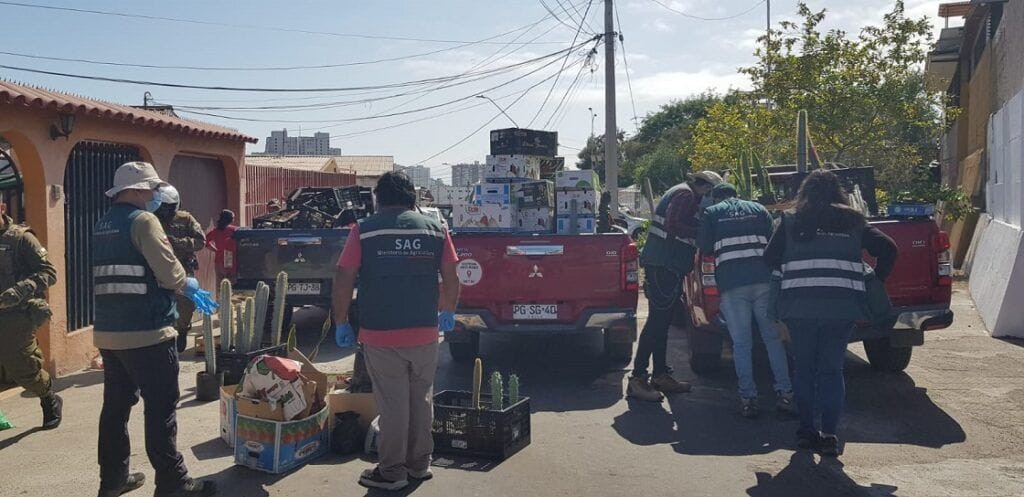 ¡Por el poder de Grayskull! | Fuerte arremetida del SAG contra el ingreso clandestino de productos agropecuarios ilegales 1 acopio plantas