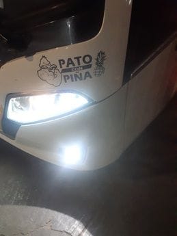 pato con pina