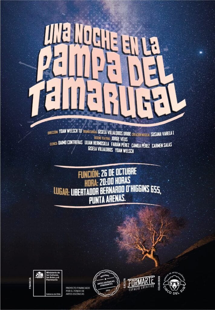 Afiche Punta Arenas