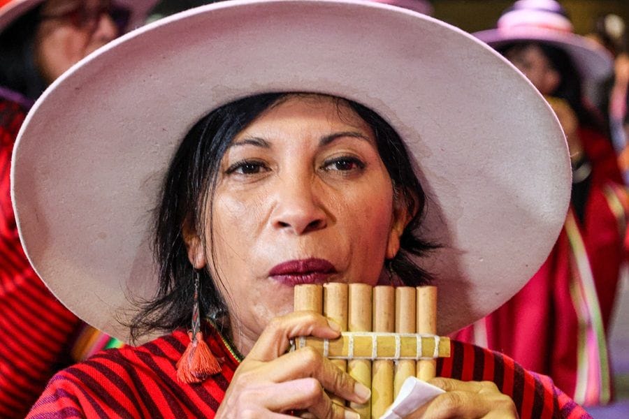 CARNAVAL INTEGRACION 2025 IMI 6