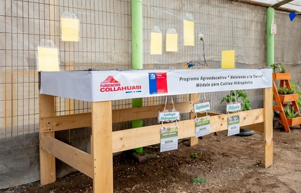 Programa Agroeducativo 1