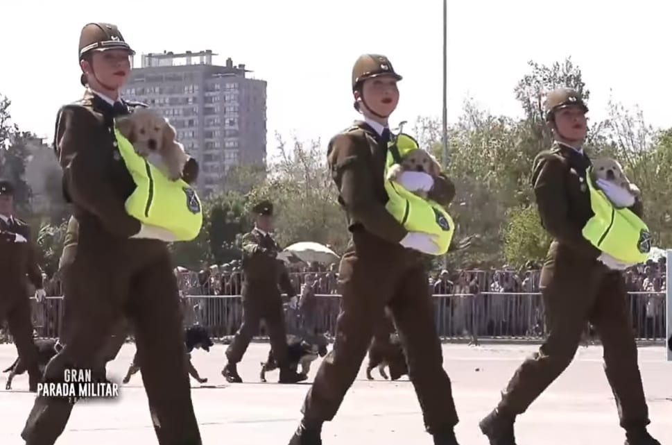 parada militar 2