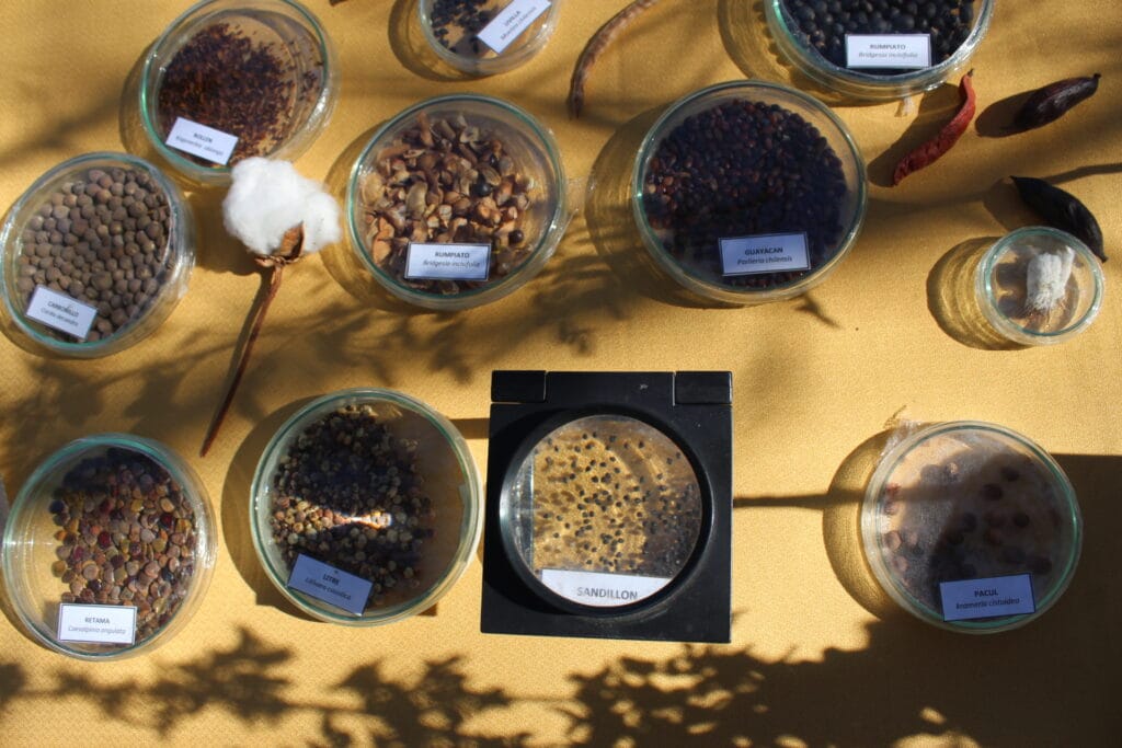 Chile resguarda su biodiversidad agrícola desde el corazón del Valle de Elqui 1 IMG 7313