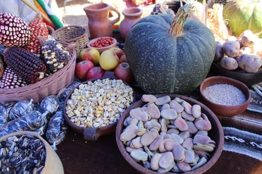 Distinción internacional: FAO reconoce a la agricultura y ganadería altoandina y de la precordillera norte como Sistema Importante del Patrimonio Agrícola Mundial 1 Territorio altoandino 02 1