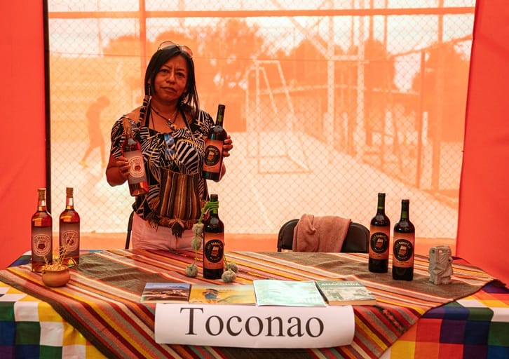 Matilla marca un hito para el desarrollo vitivinícola del Norte Grande 2 Encuentro Vitivinicultores en Matilla 7