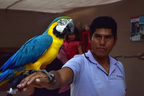 Alianza entre Selva Viva y ZOFRI ya encantó a más de tres mil personas 2 0265