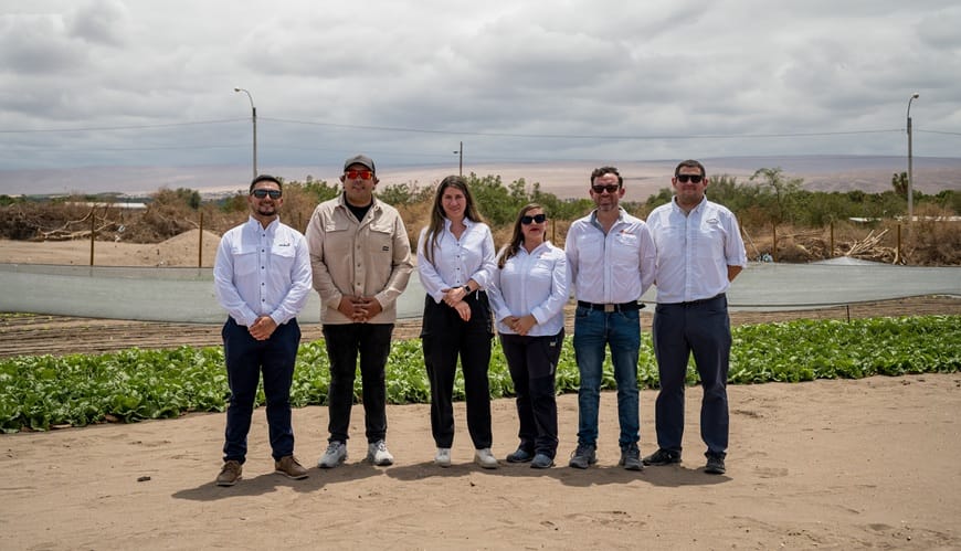 Planta Cuarta Gama 03