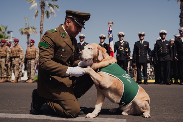 Iquique | Carabineros celebró sus 99 años junto a la comunidad 1 didier
