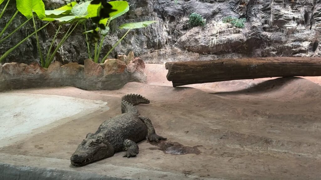 CONVENIOS DE REUBICACION DE ANIMALES IMI 1