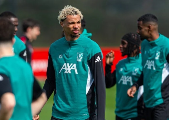 Hugo Ekitike: de no entrar en la convocatoria del PSG a ser el delantero más caro del verano 1 nota