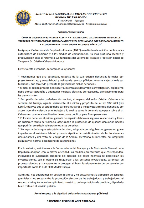 declaracion anef