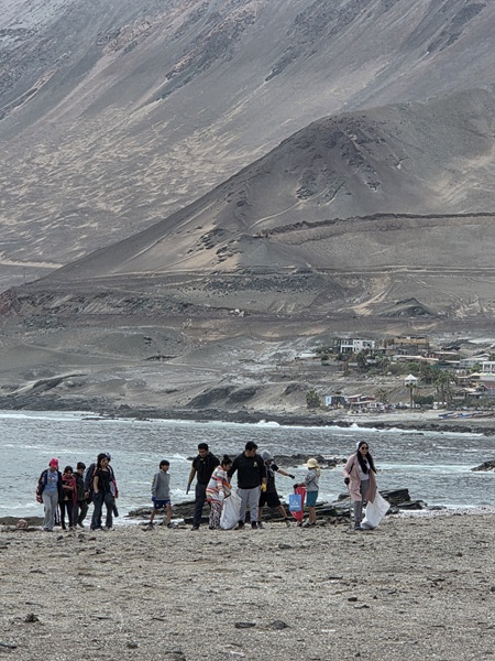 La actividad convocada por la SEREMI del Medio Ambiente de Tarapaca y DIRECTEMAR busca generar conciencia ambiental sobre el cuidado del borde costero y sus ecosistemas